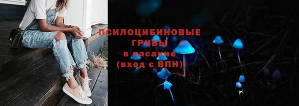 гидра Ленинск-Кузнецкий