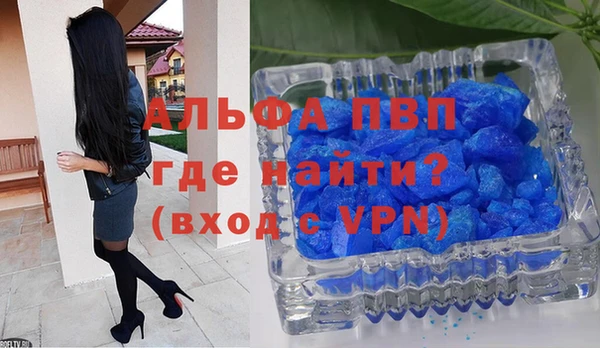гидра Ленинск-Кузнецкий