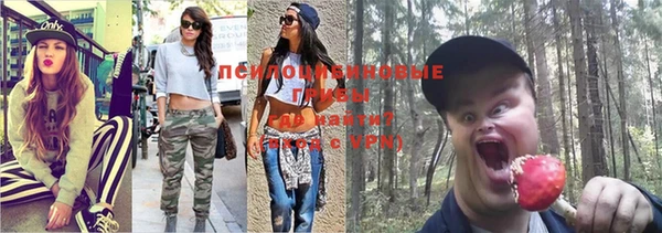 спиды Покровск