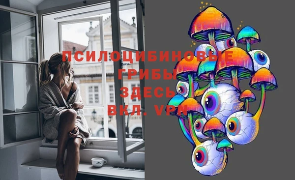 стаф Покров