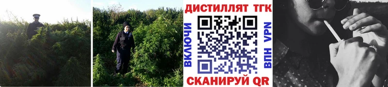Дистиллят ТГК вейп с тгк  Балашиха 