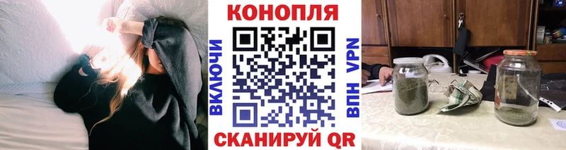 купить   Балашиха  Конопля сатива 