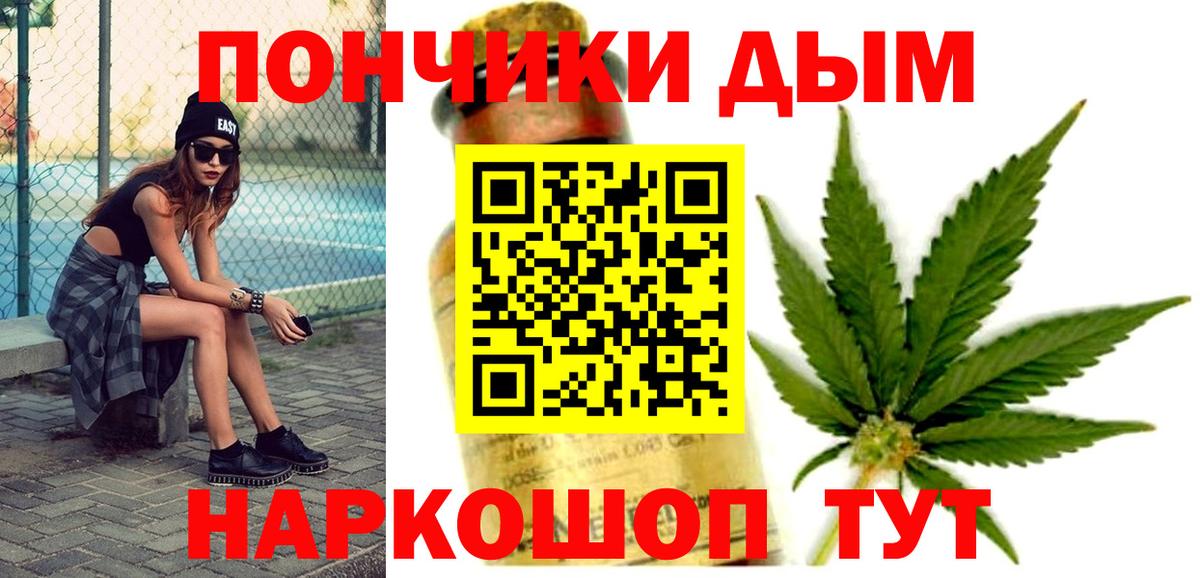 Бошки Шишки планчик  Конопля конопля  Балашиха 